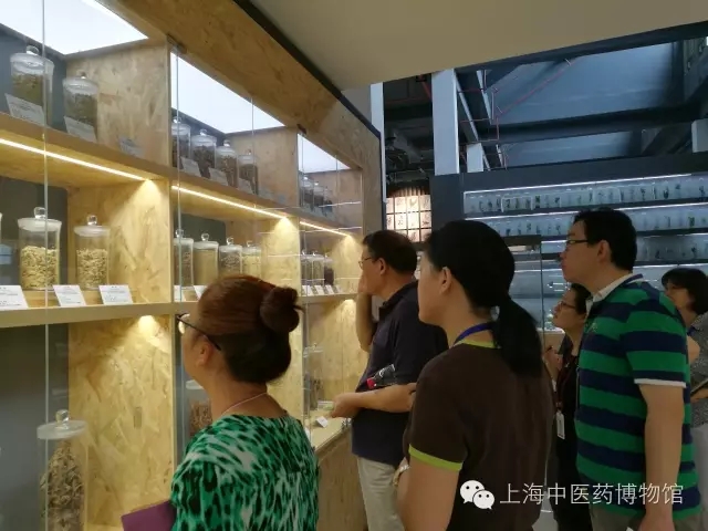 我馆开展业务学习活动